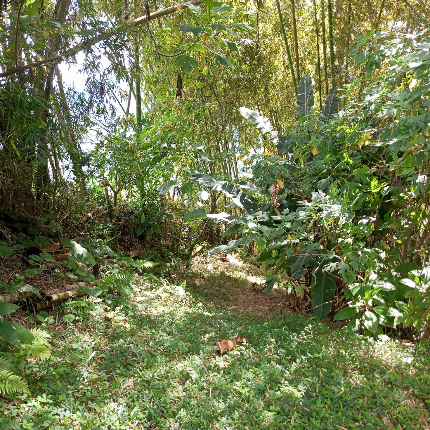 VENTA DE FINCA SECTOR LA CUCHILLA DEL SALADO