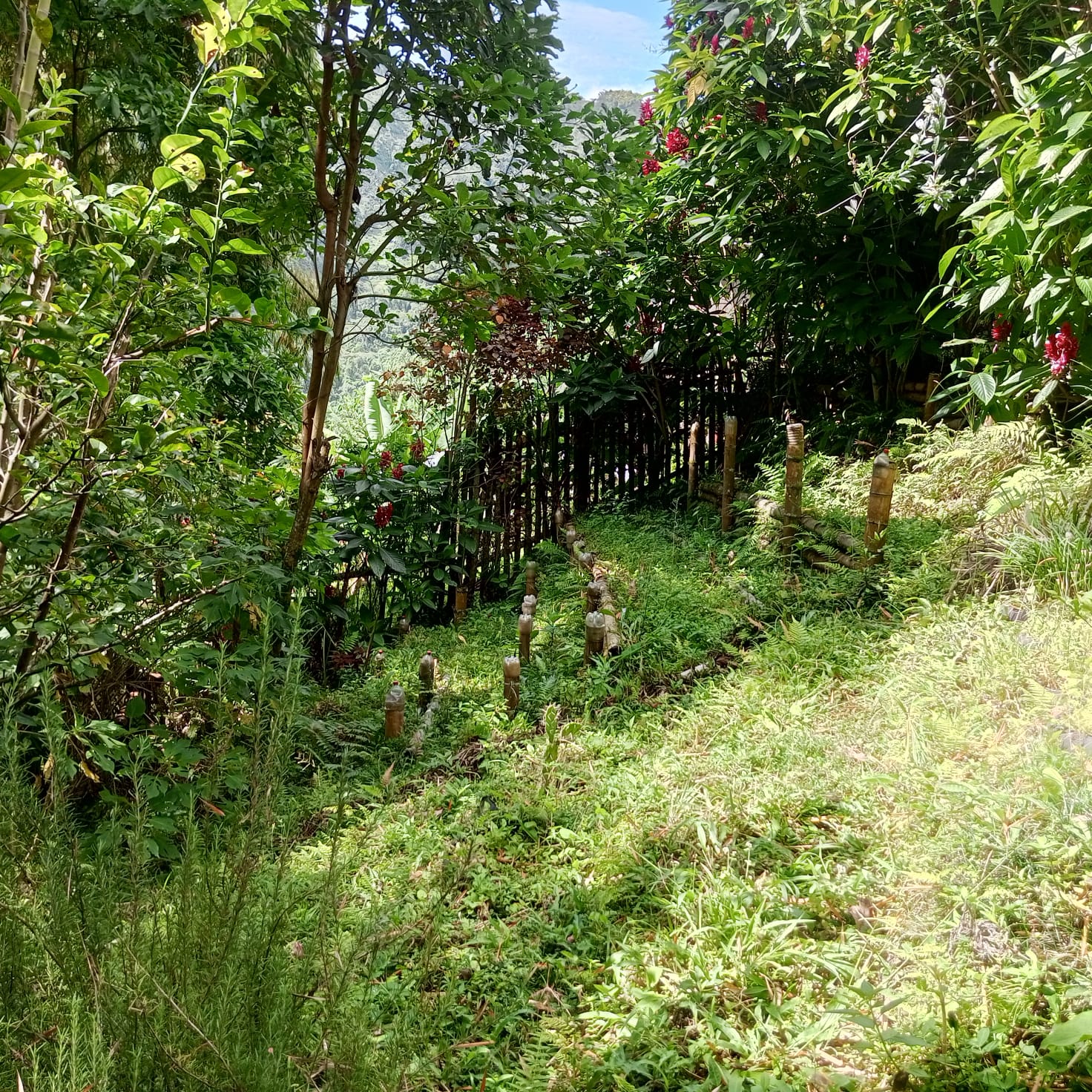 VENTA DE FINCA SECTOR LA CUCHILLA DEL SALADO