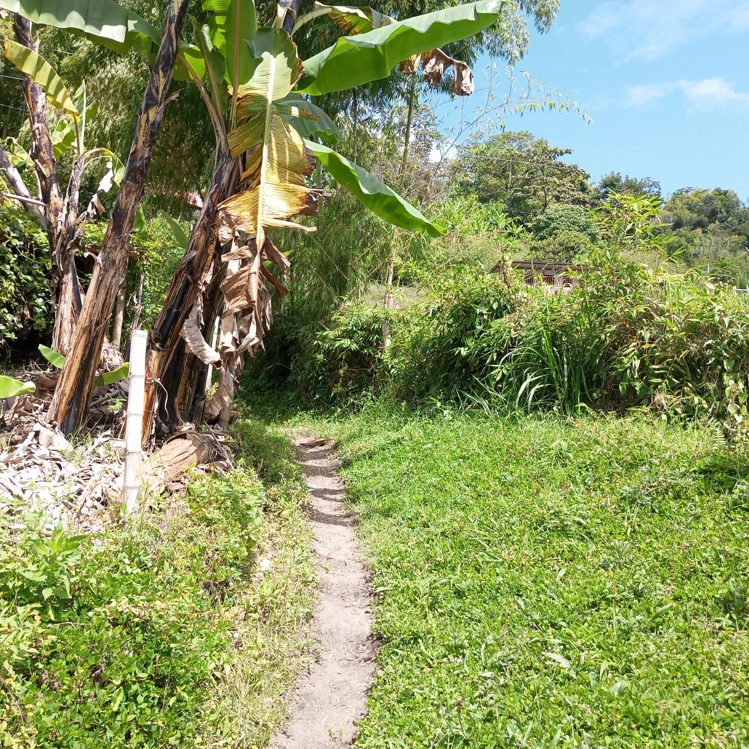 VENTA DE FINCA SECTOR LA CUCHILLA DEL SALADO