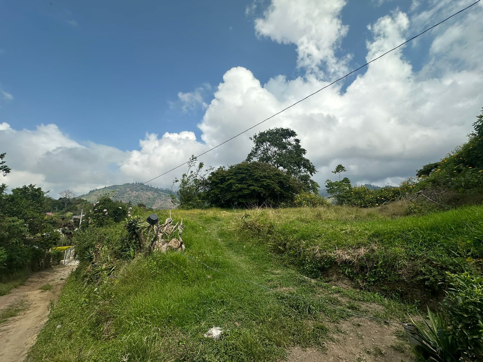 FINCA EN VENTA SECTOR VEREDA SANTO DOMINGO VILLAMARIA