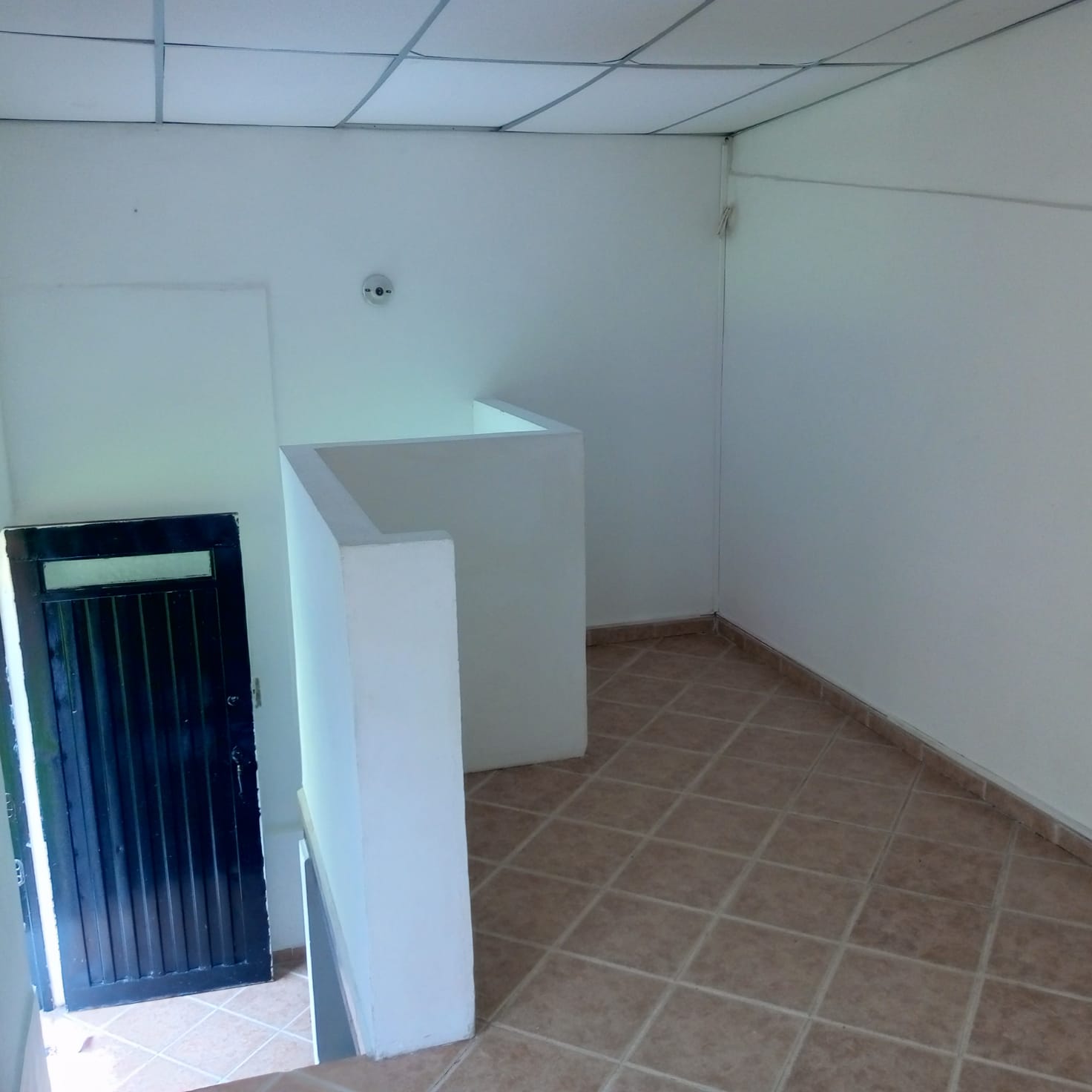 ARRIENDO  APARTAESTUDIO COLINAS MANIZALES