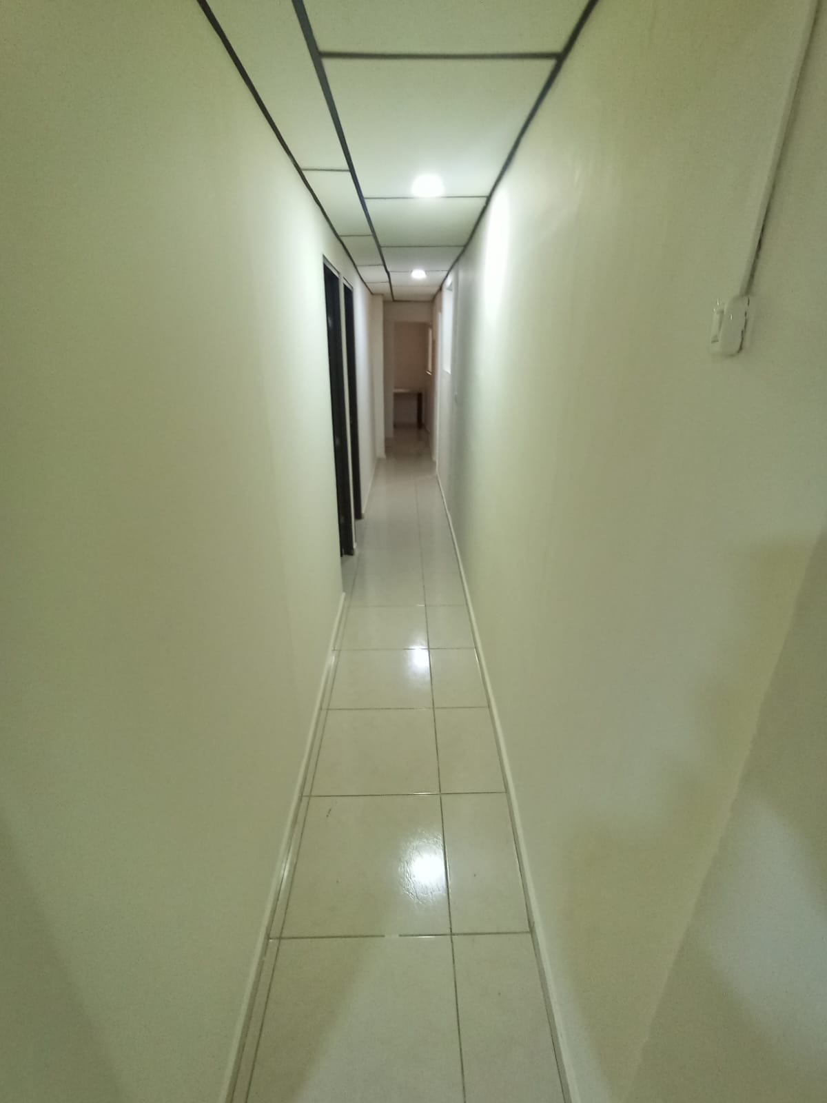 ARRIENDO APARTAMENTO EN SAN JORGE