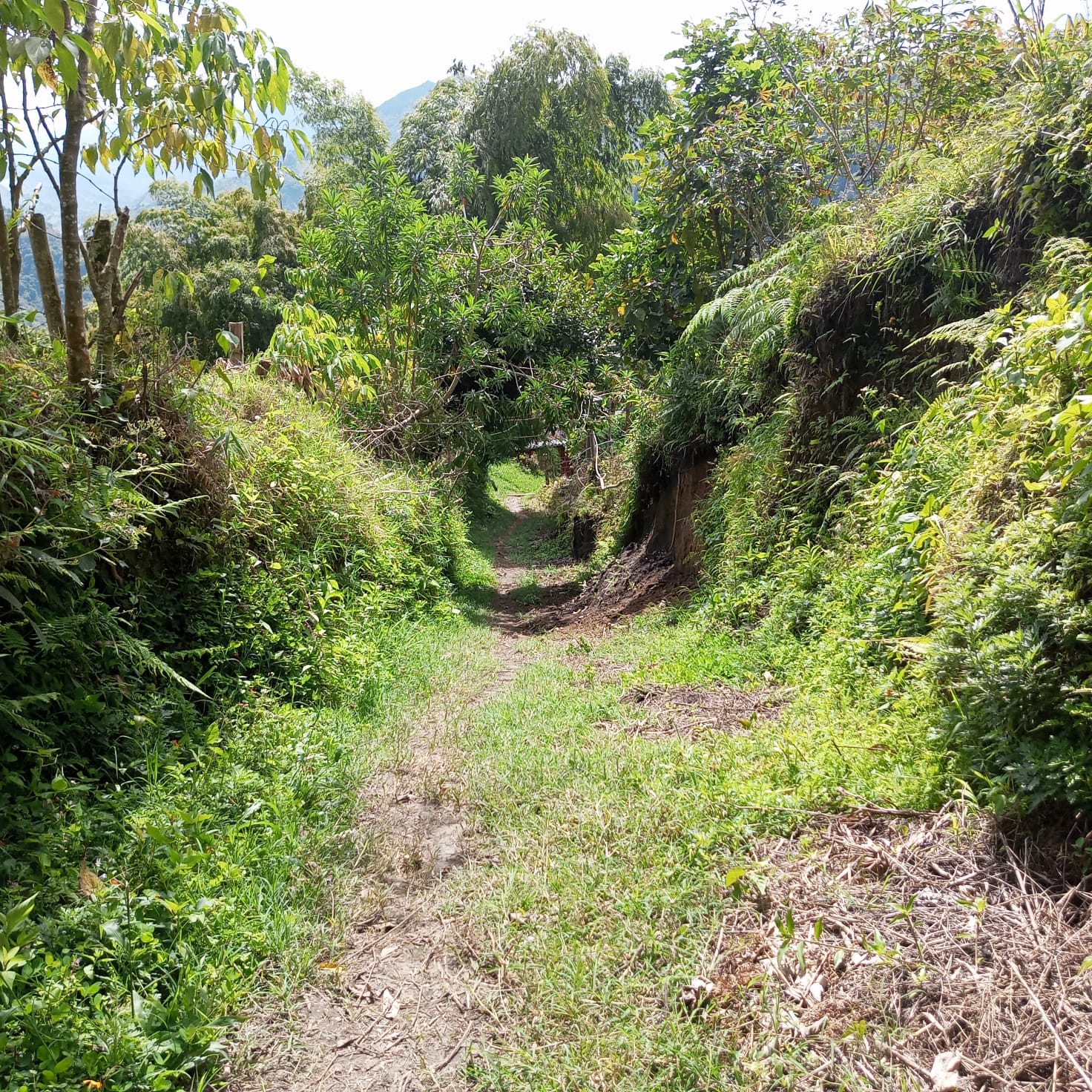 VENTA DE FINCA SECTOR LA CUCHILLA DEL SALADO