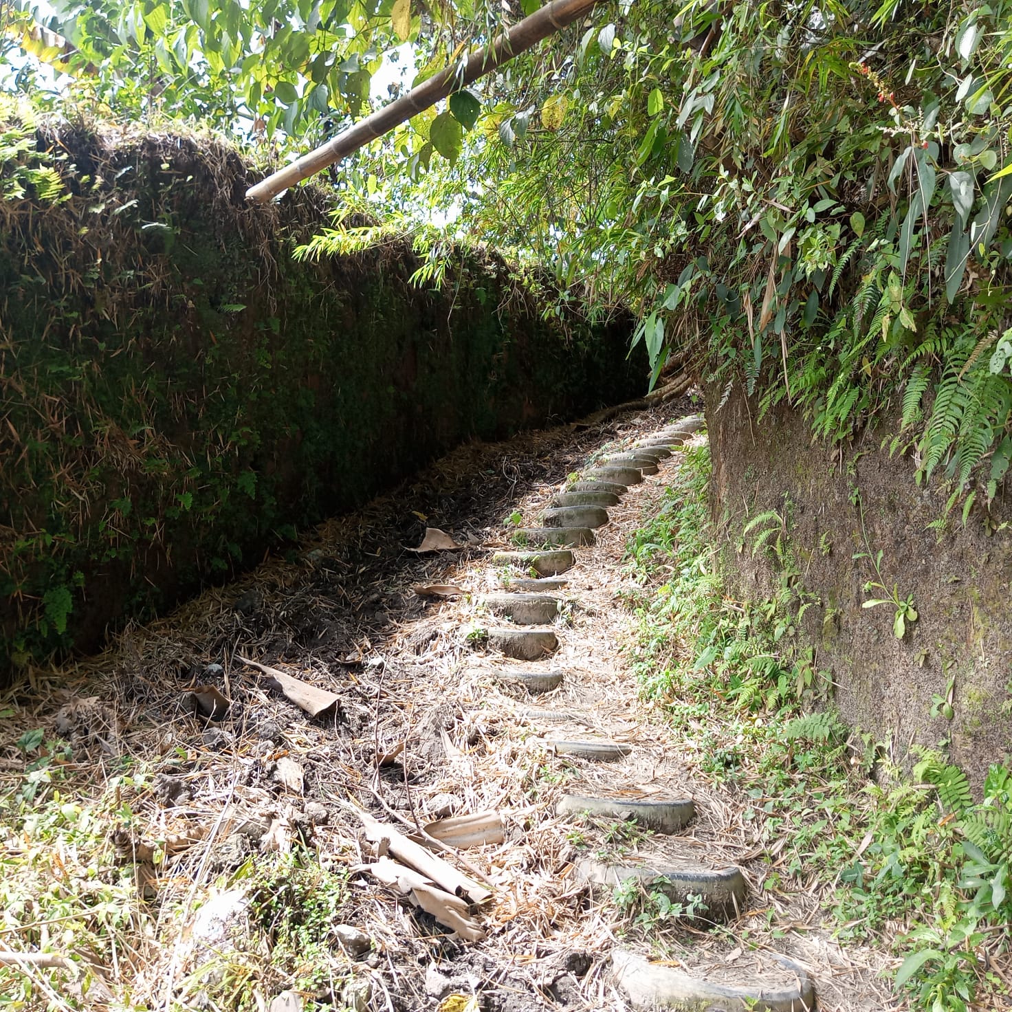 VENTA DE FINCA SECTOR LA CUCHILLA DEL SALADO