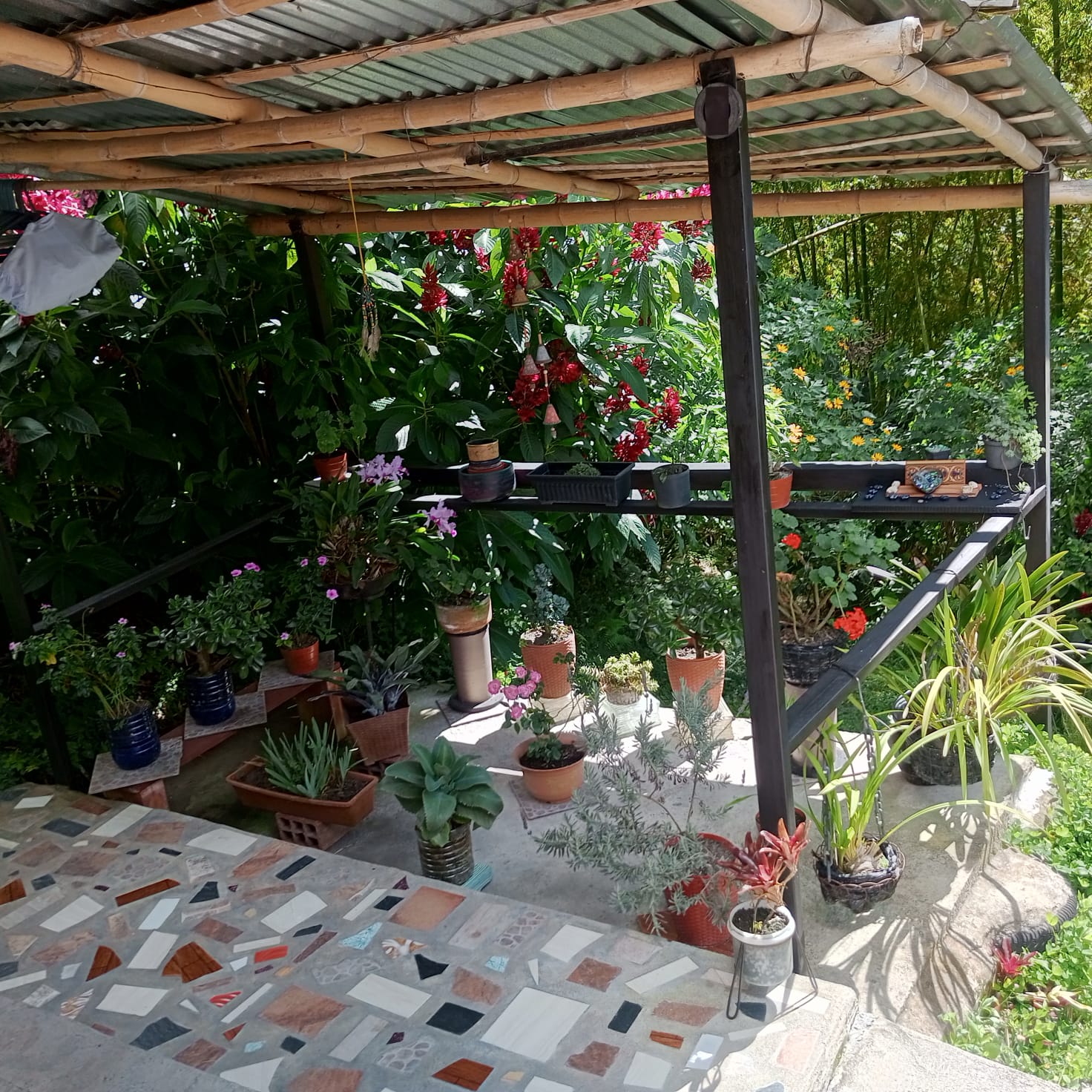 VENTA DE FINCA SECTOR LA CUCHILLA DEL SALADO