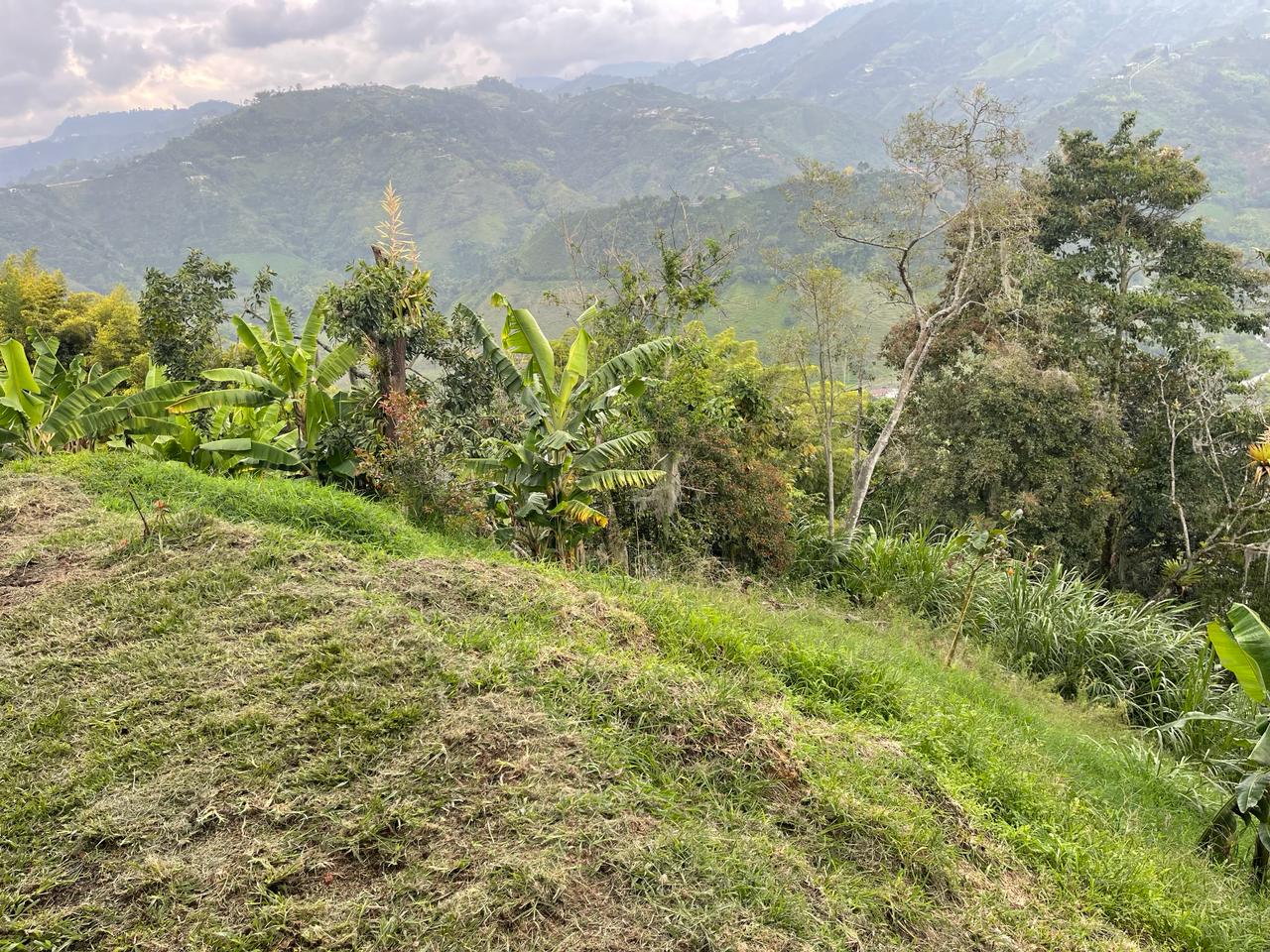 FINCA EN VENTA ALTO DEL NARANJO