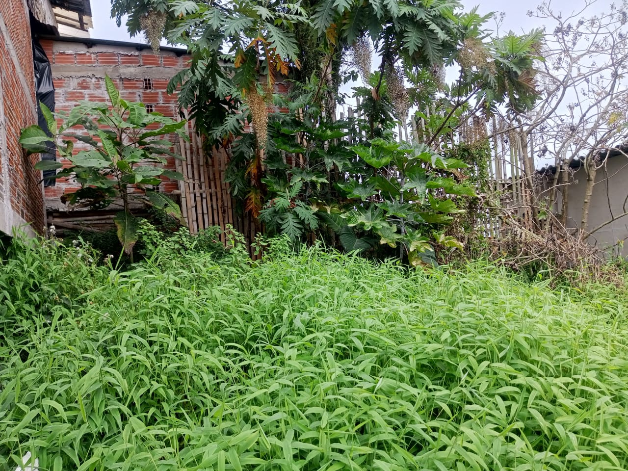 LOTE EN VENTA SECTOR LOS AGUSTINOS