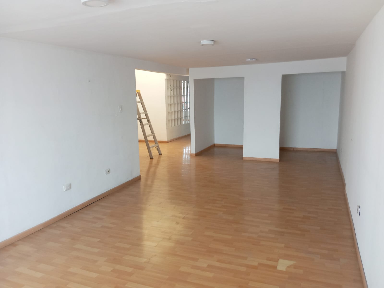 ARRIENDO LOCAL SECTOR AVENIDA SANTANDER