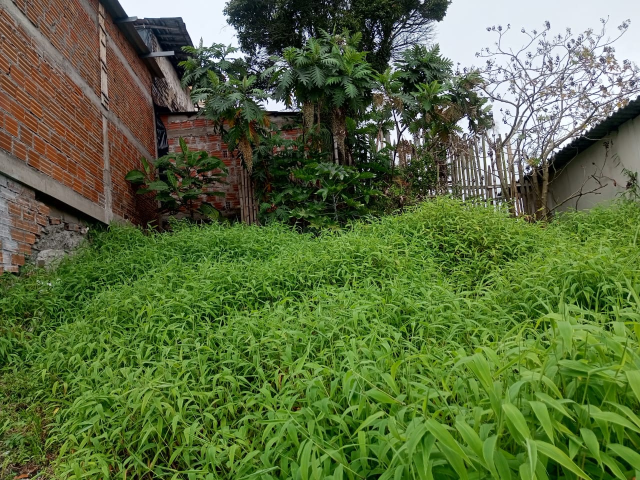 LOTE EN VENTA SECTOR LOS AGUSTINOS