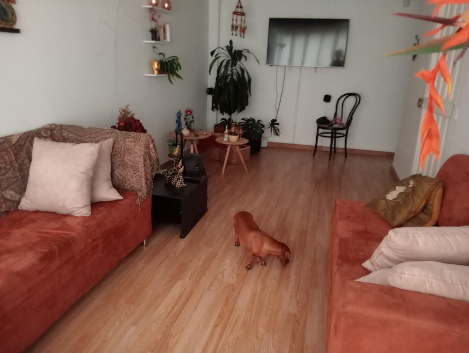 CASA EN VENTA  ASTURIAS