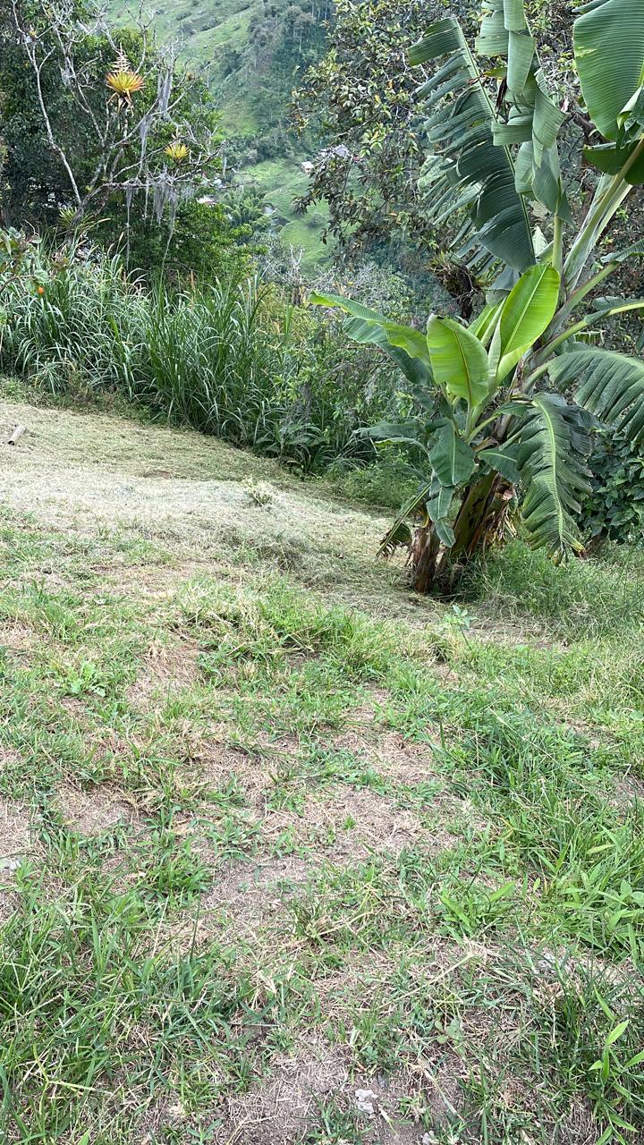 FINCA EN VENTA ALTO DEL NARANJO