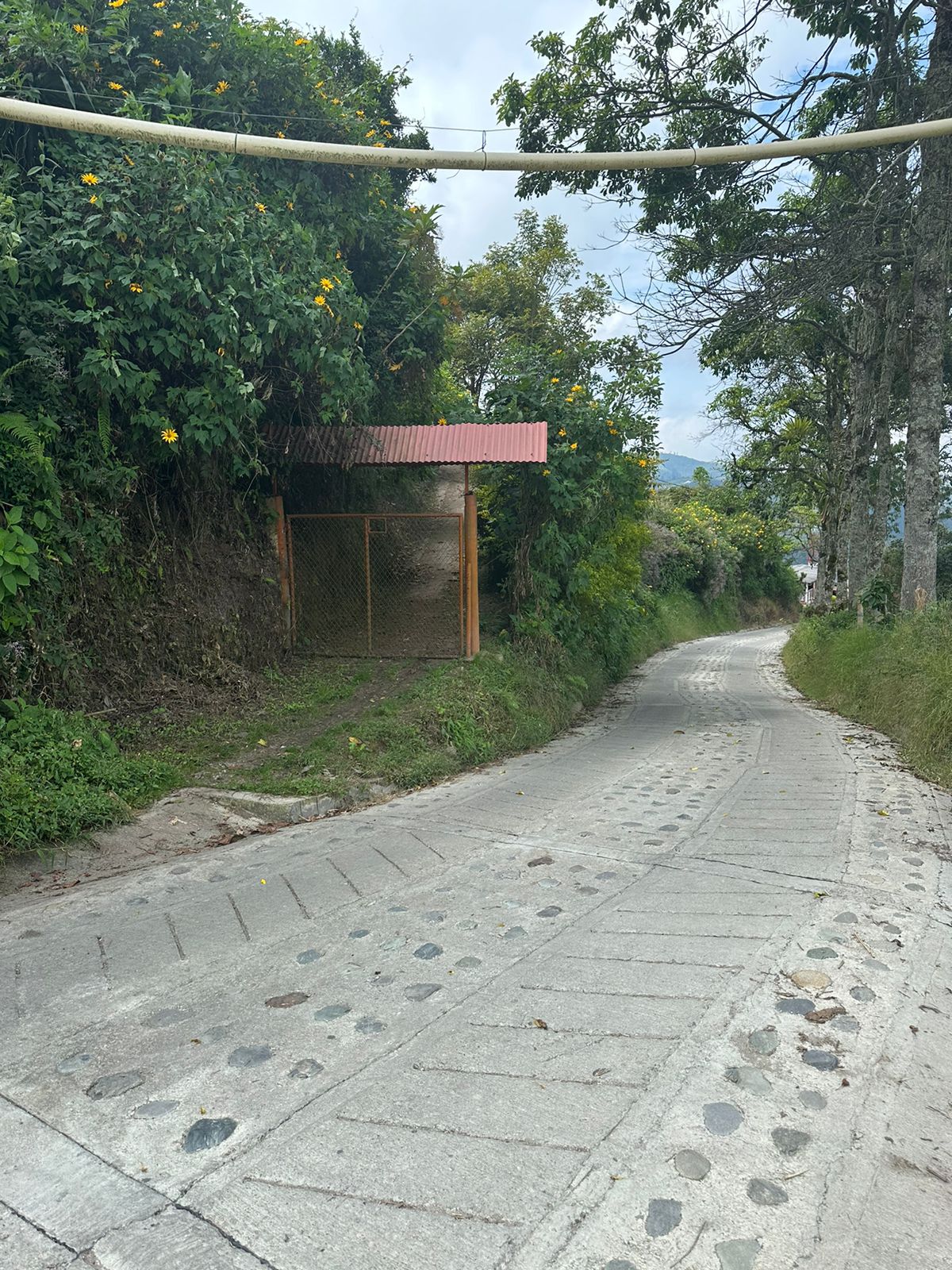 FINCA EN VENTA SECTOR VEREDA SANTO DOMINGO VILLAMARIA