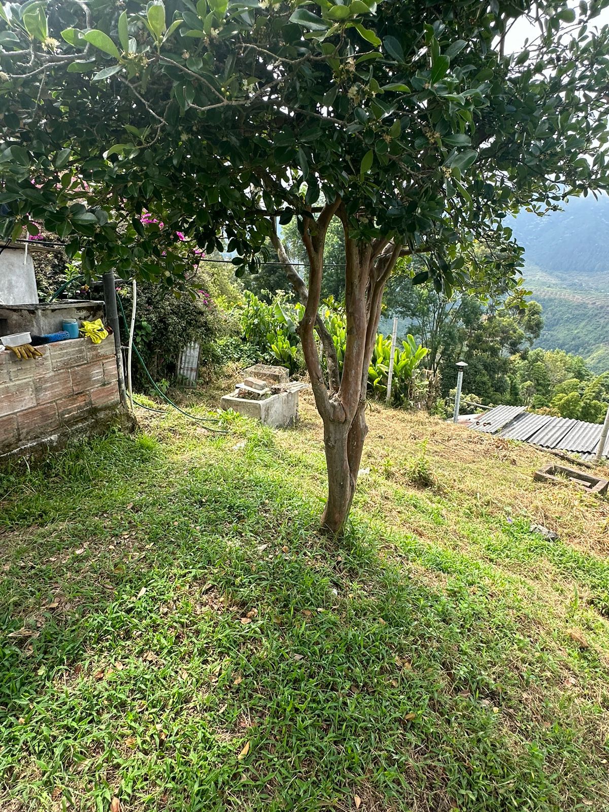 FINCA EN VENTA SECTOR VEREDA SANTO DOMINGO VILLAMARIA