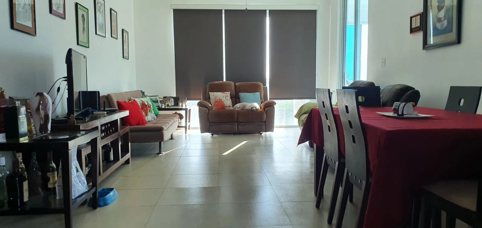 VENTA DE APARTAMENTO RIO HATO