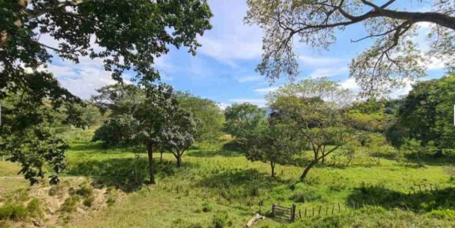 Lote/Terreno en Venta Ubicado en Sopetran, Antioquia