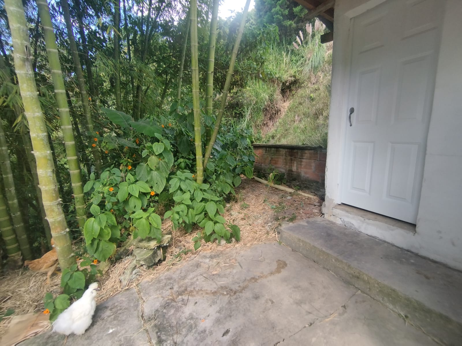 Se Vende Finca en San Cristobal, Medellín