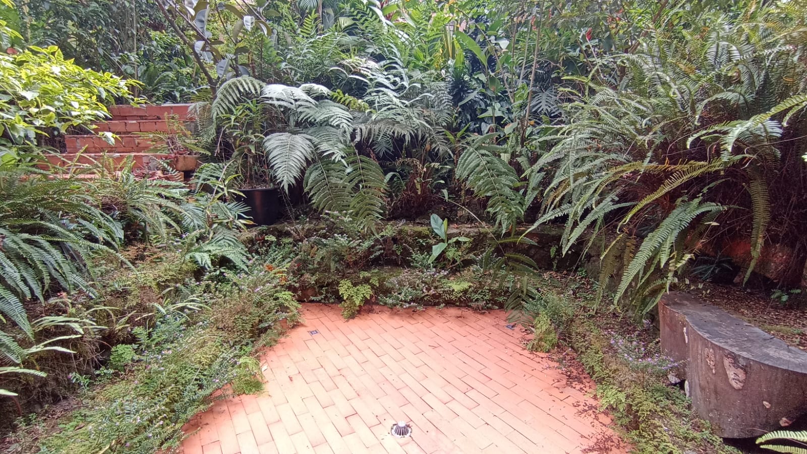 Se Arrienda Casa Unifamiliar en la Loma de las Brujas, Envigado
