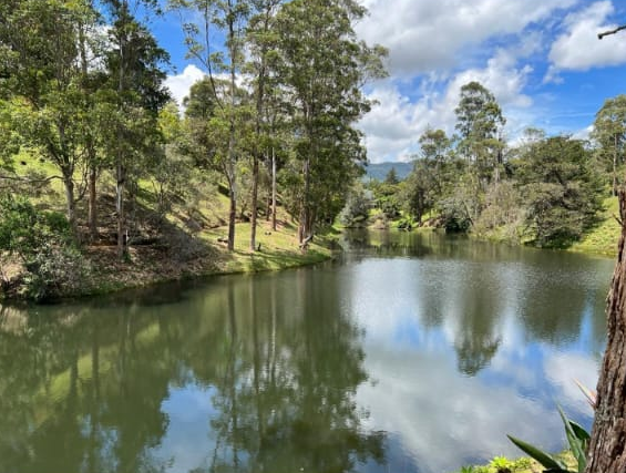 Se Arrienda Finca En Llano Grande, Antioquia