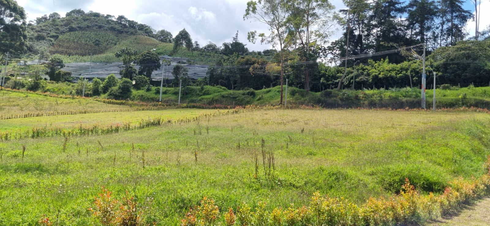 Se Vende Lote en el sector el Tambo, en la Ceja, Antioquia