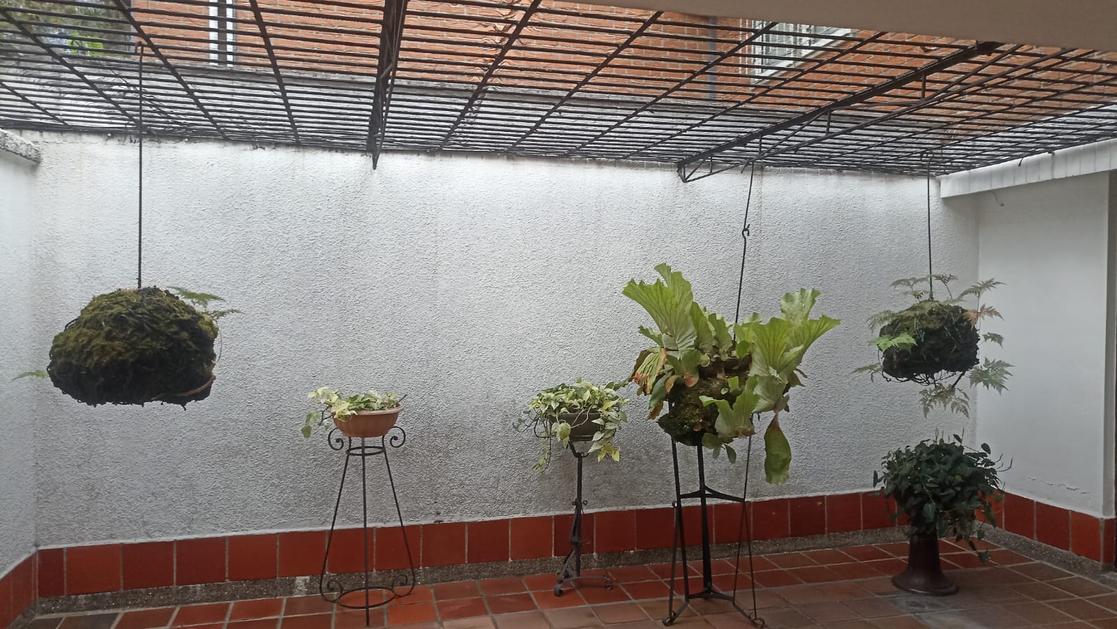 Amplia Casa para Arriendo en Laureles, Estadio
