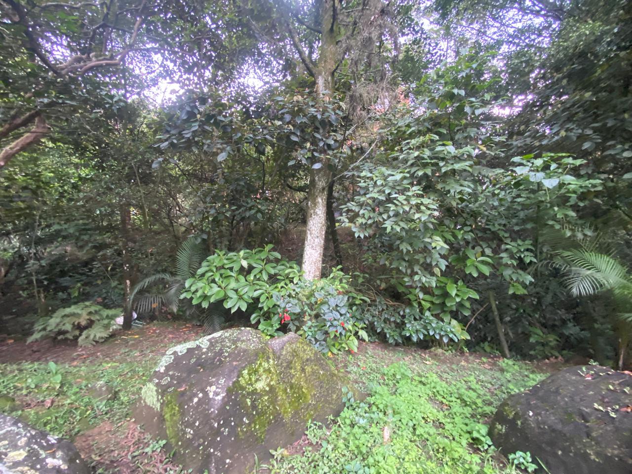 Se Arrienda Casa En El Poblado La Linde