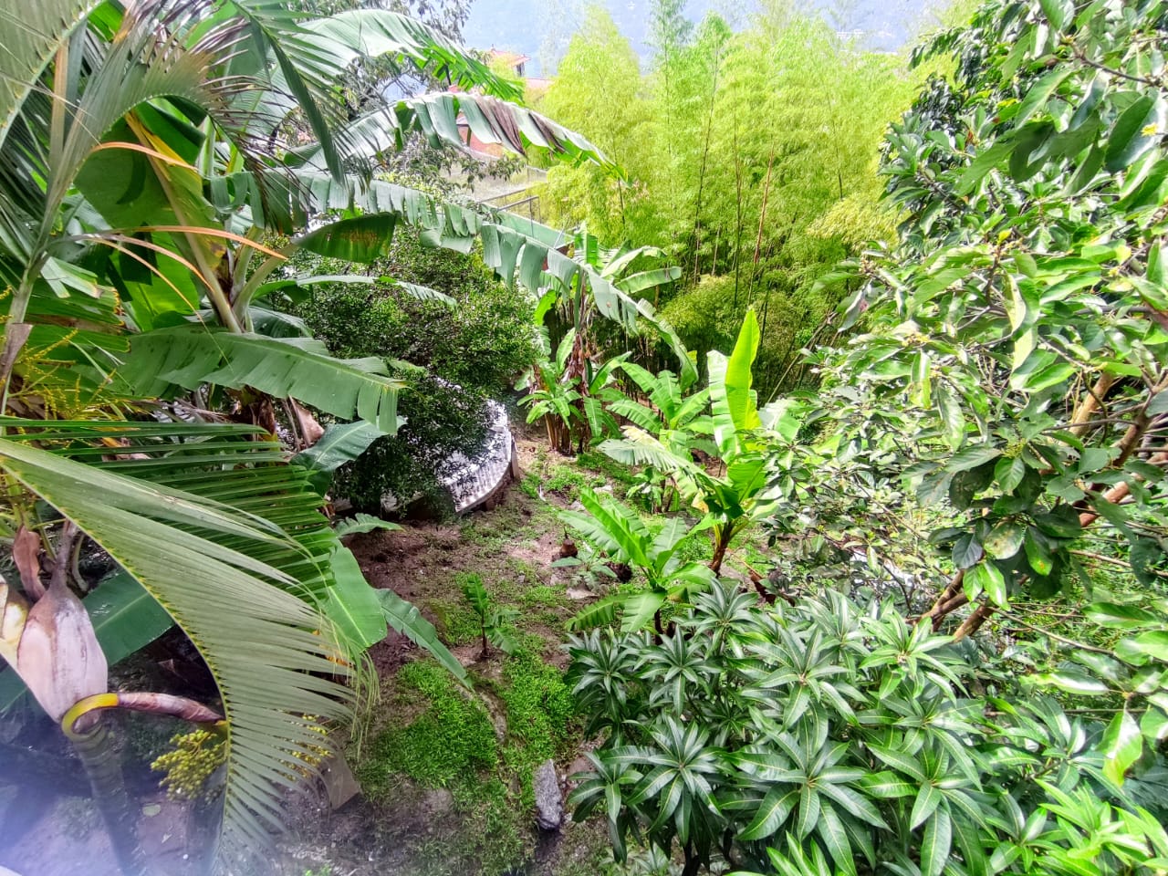 Vendo finca de recreo, Vereda  Filoverde, Barbosa