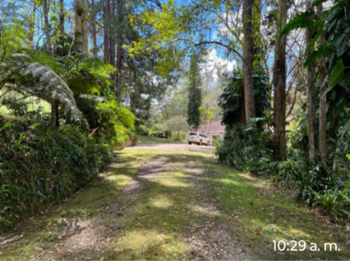 Se Arrienda Finca En Llano Grande, Antioquia
