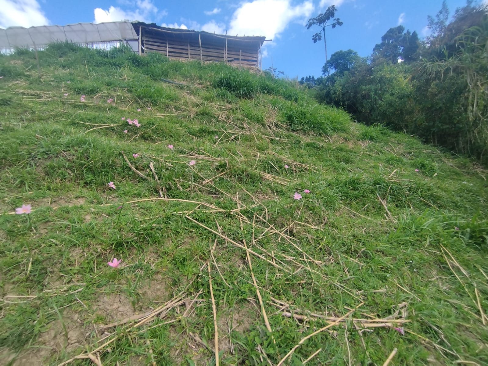 Se Vende Finca en San Cristobal, Medellín
