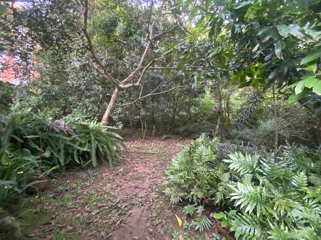 Se Arrienda Casa En El Poblado La Linde