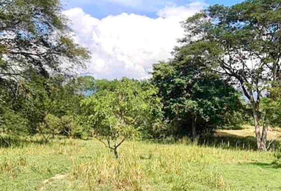 Lote/Terreno en Venta Ubicado en Sopetran, Antioquia