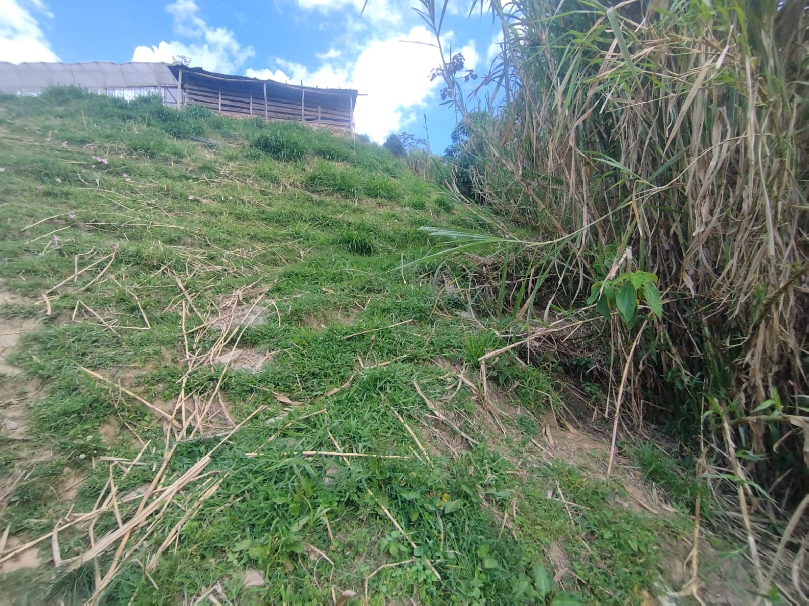 Se Vende Finca en San Cristobal, Medellín