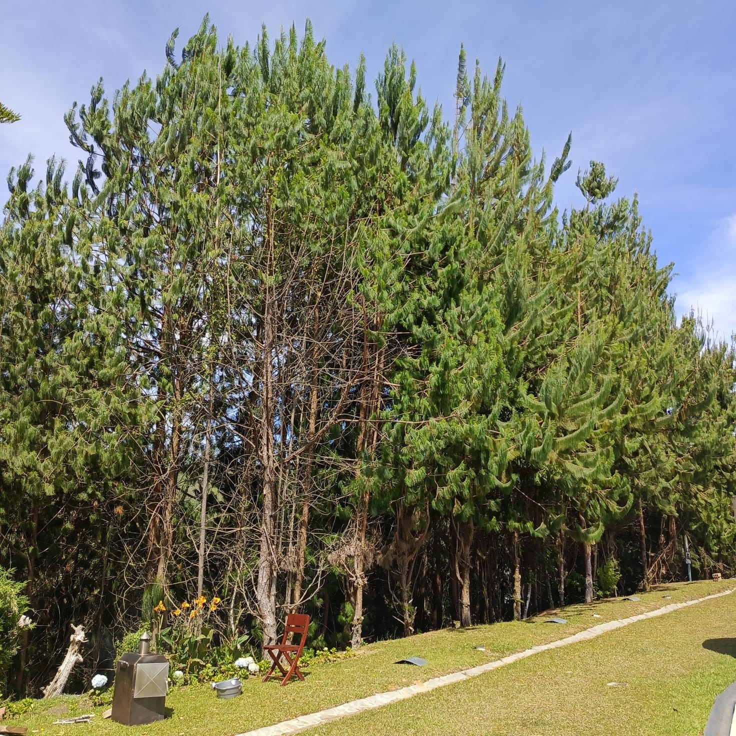 Se Vende Finca En El Peñol, Antioquia
