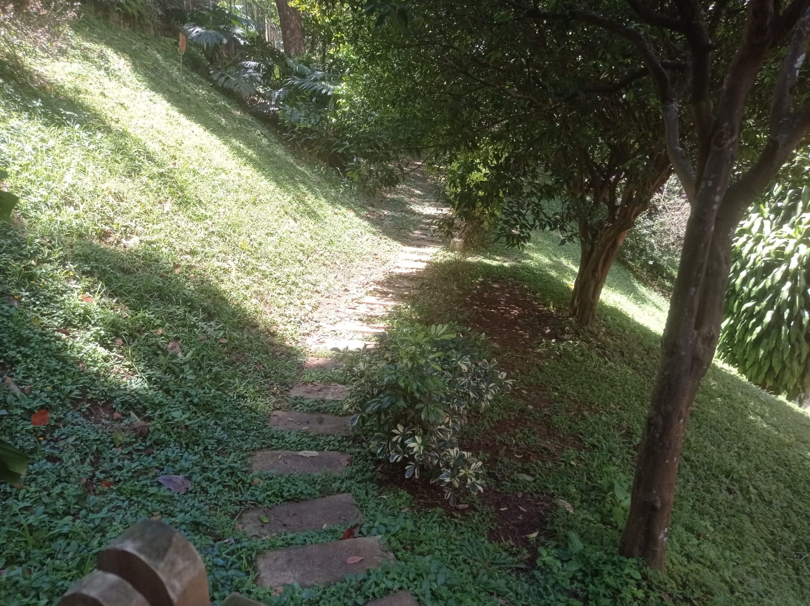 Se Vende Apartamento en los Balsos, Medellín