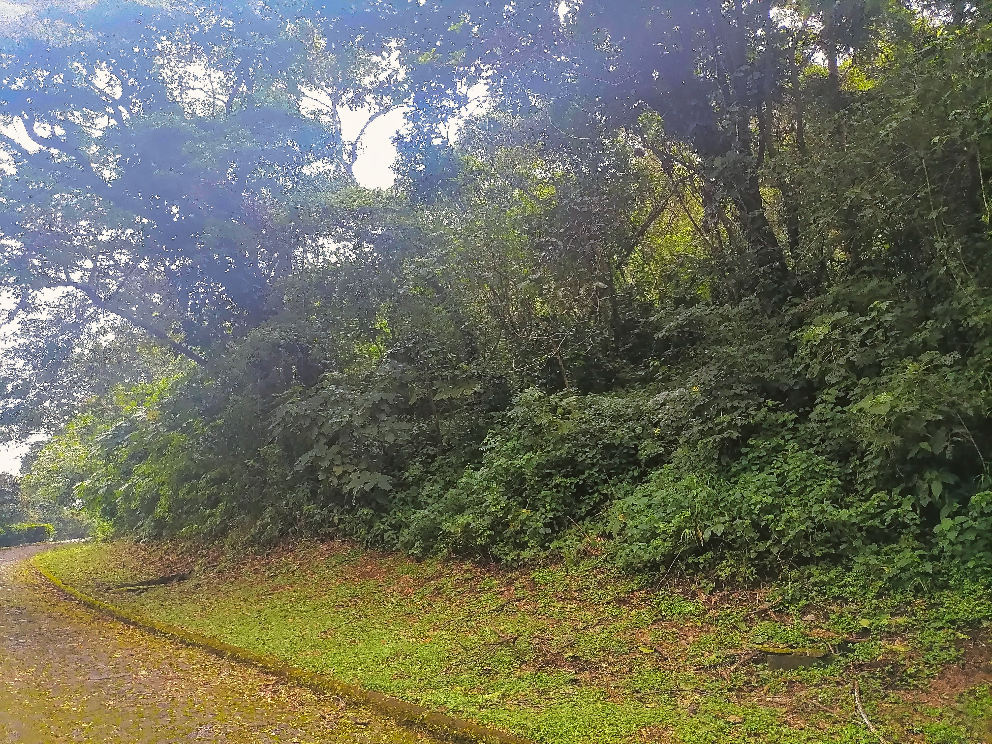 Terrenos en Venta en Club de Golf "La Reunión",Alotenango, Sacatepéque