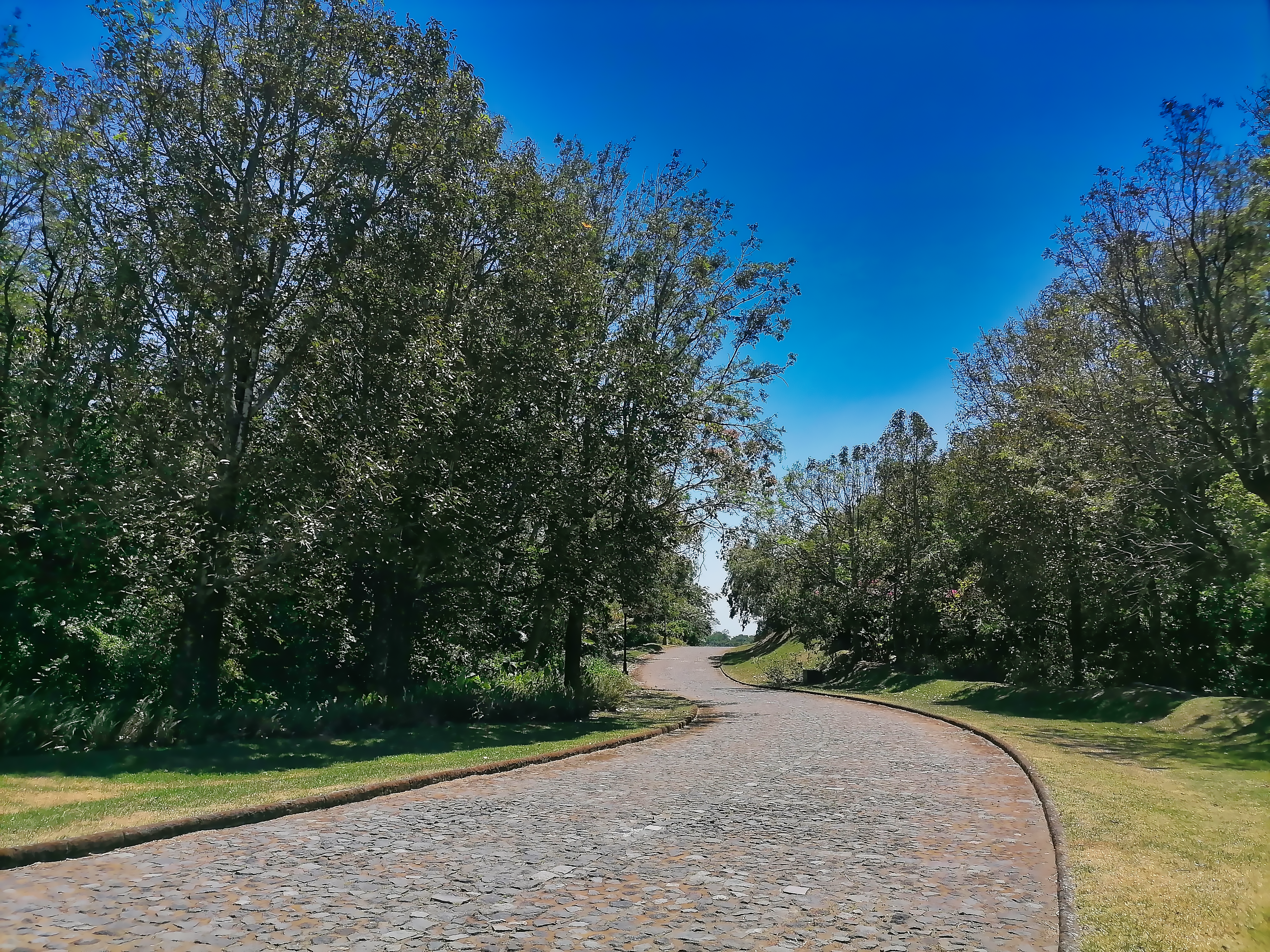 Terreno Ecológico en Venta - Residencial La Reunión Club de Golf - 4