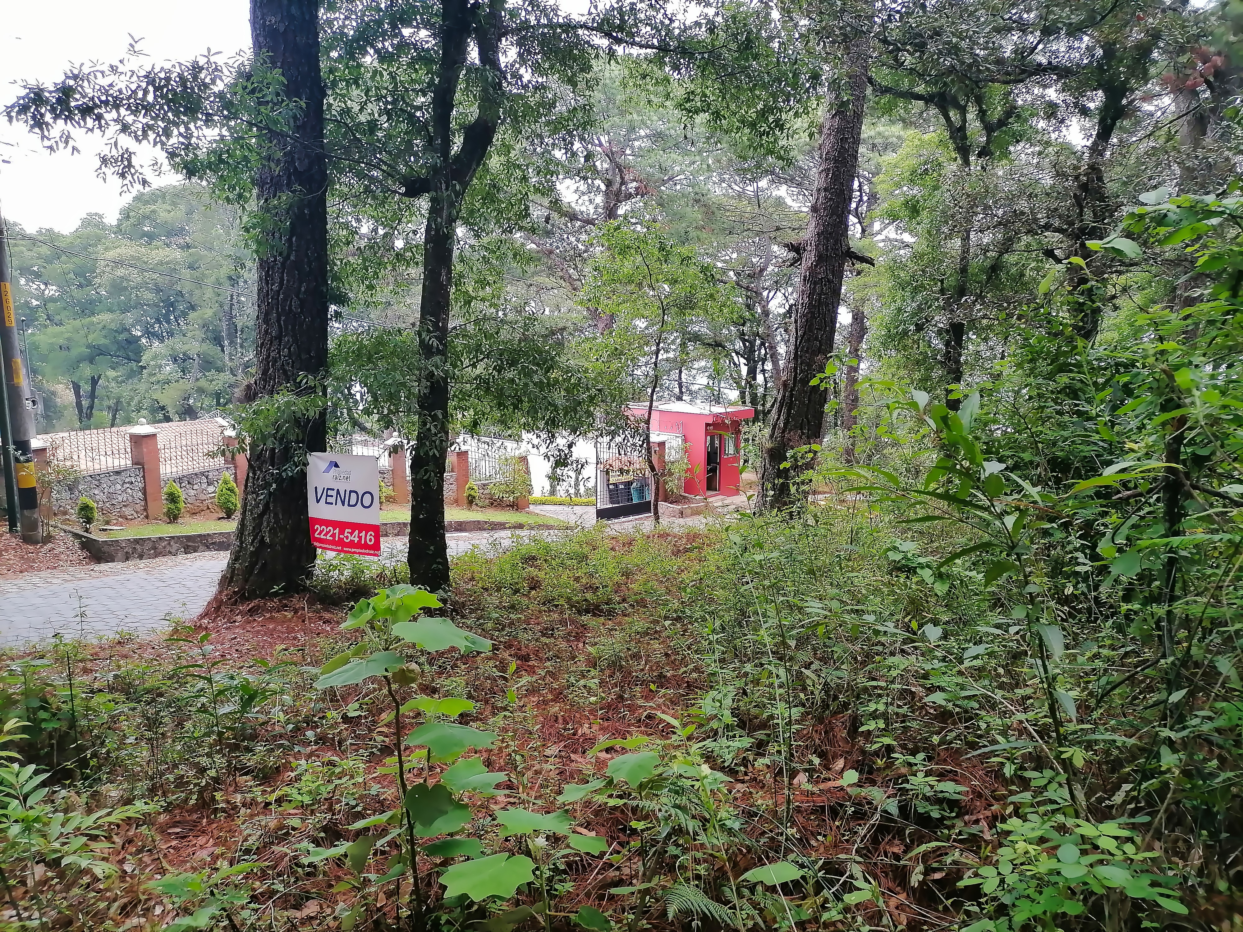 Vendo Terreno, Bosque Exclusivo | Labor de Castilla 1 - 4