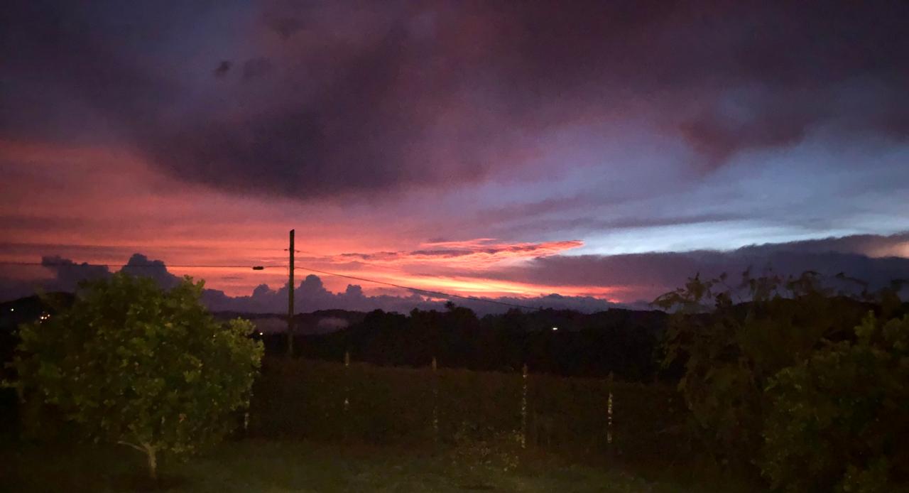 VENTA FINCA EN MARINILLA  ANTIOQUIA  ✅