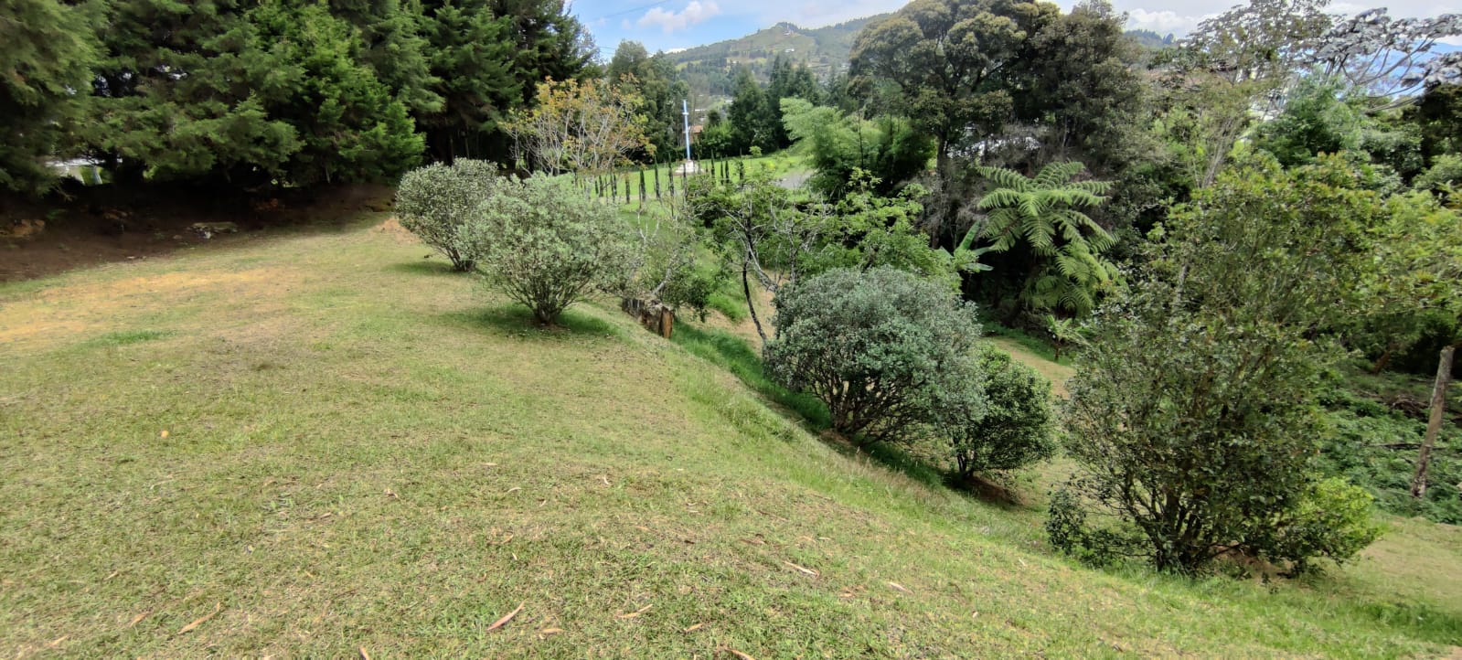 VENTA FINCA  EN GUARNE ALTO DE LA VIRGEN ✅