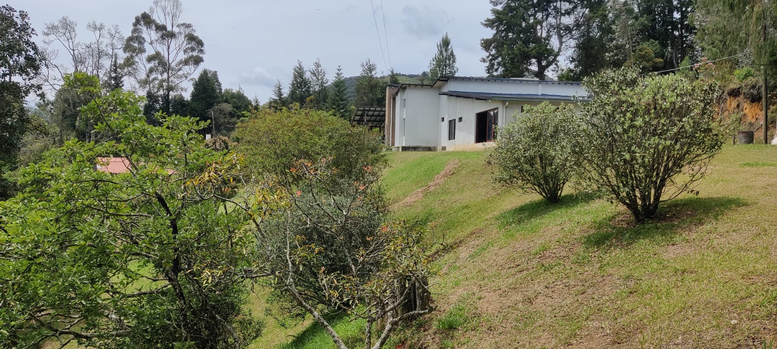 VENTA FINCA  EN GUARNE ALTO DE LA VIRGEN ✅