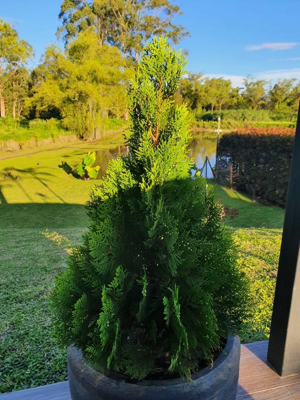 Venta de casa en Rionegro, Antioquia