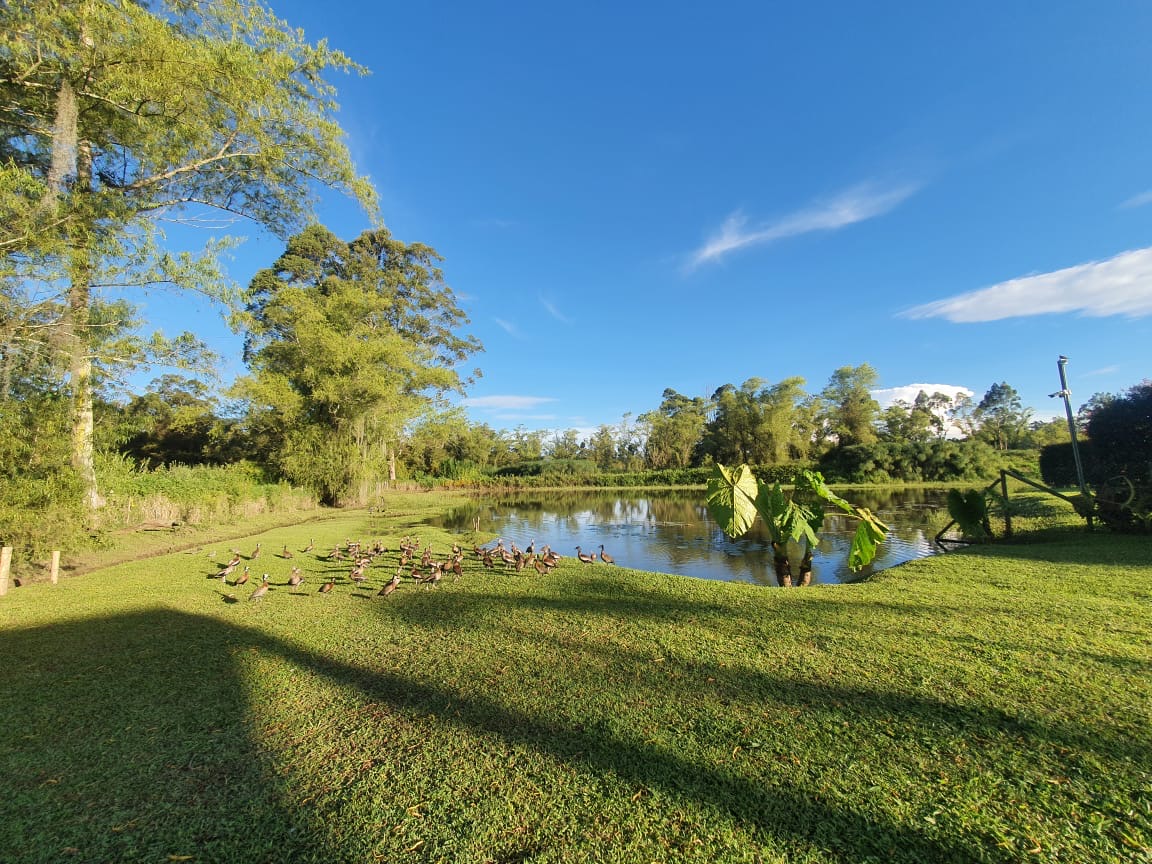 Venta de casa en Rionegro, Antioquia