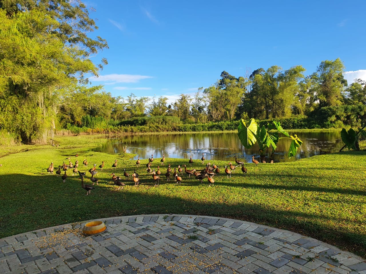 Venta de casa en Rionegro, Antioquia