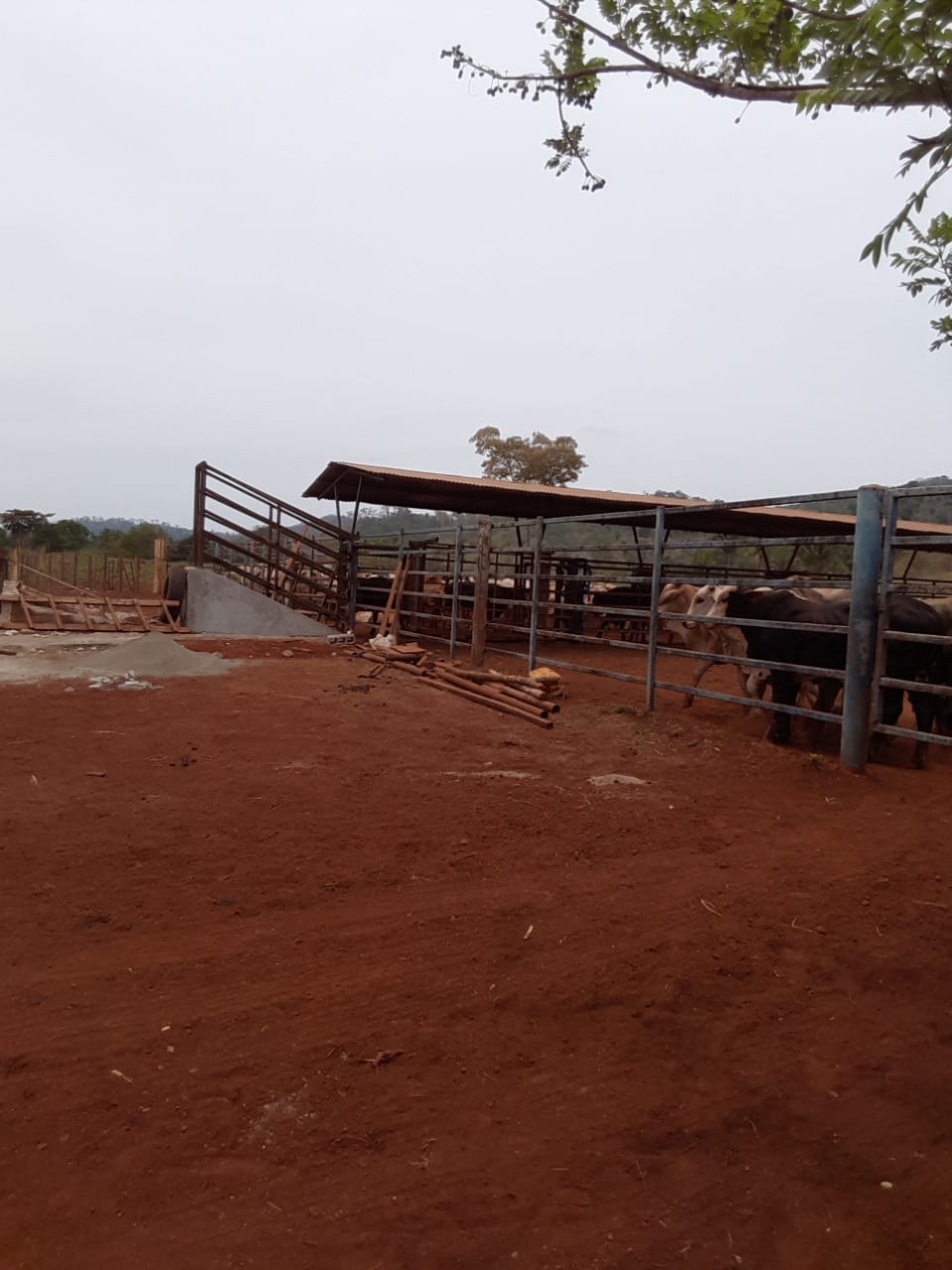 Se Vende Finca Ganadera en Darien