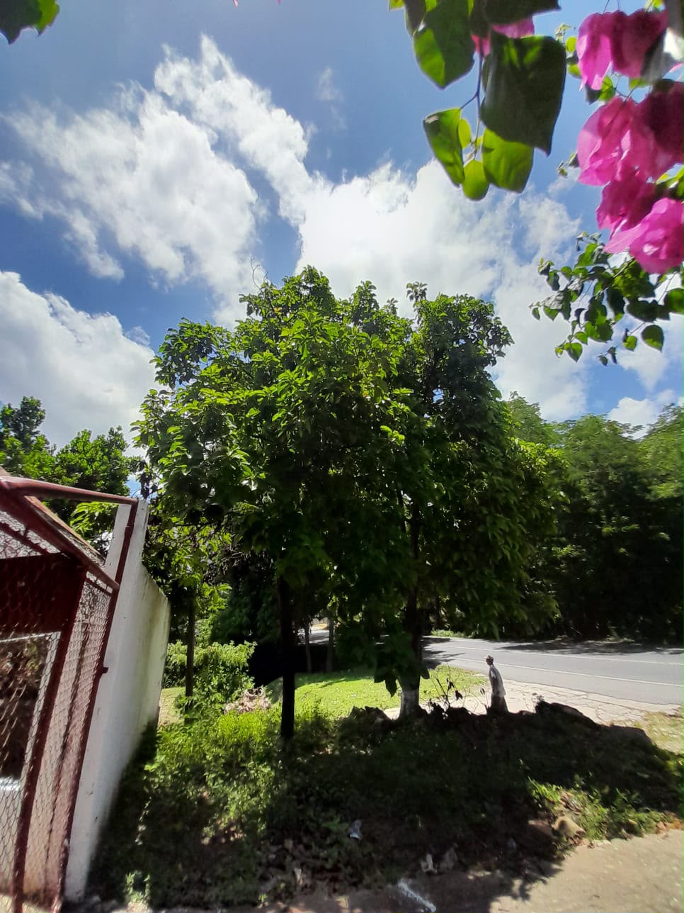 CASA EN VENTA EN ALDEA ENCINITOS, GUALAN ZACAPA - Image 4