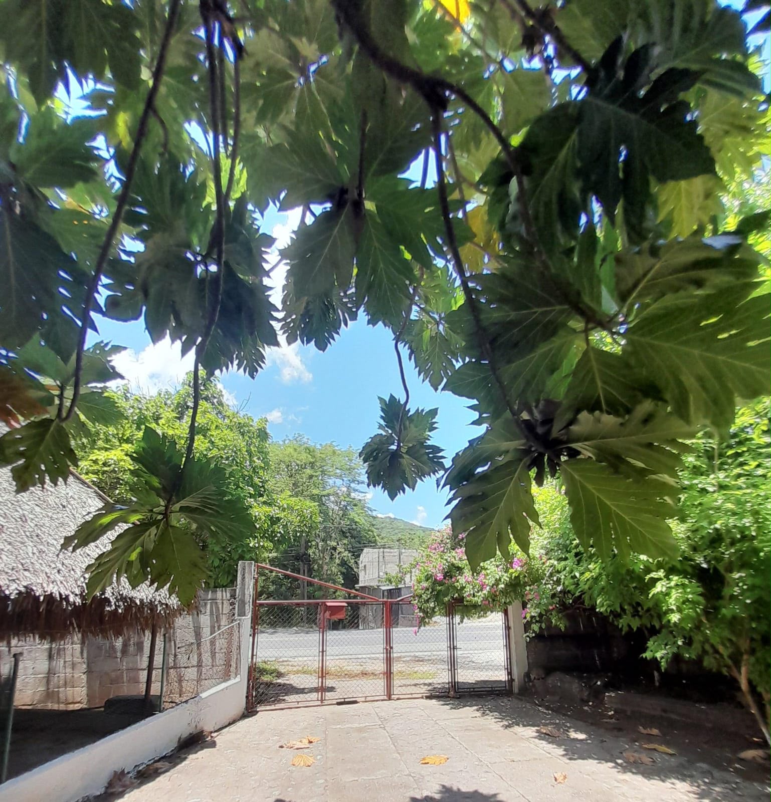 CASA EN VENTA EN ALDEA ENCINITOS, GUALAN ZACAPA - Miniatura 18