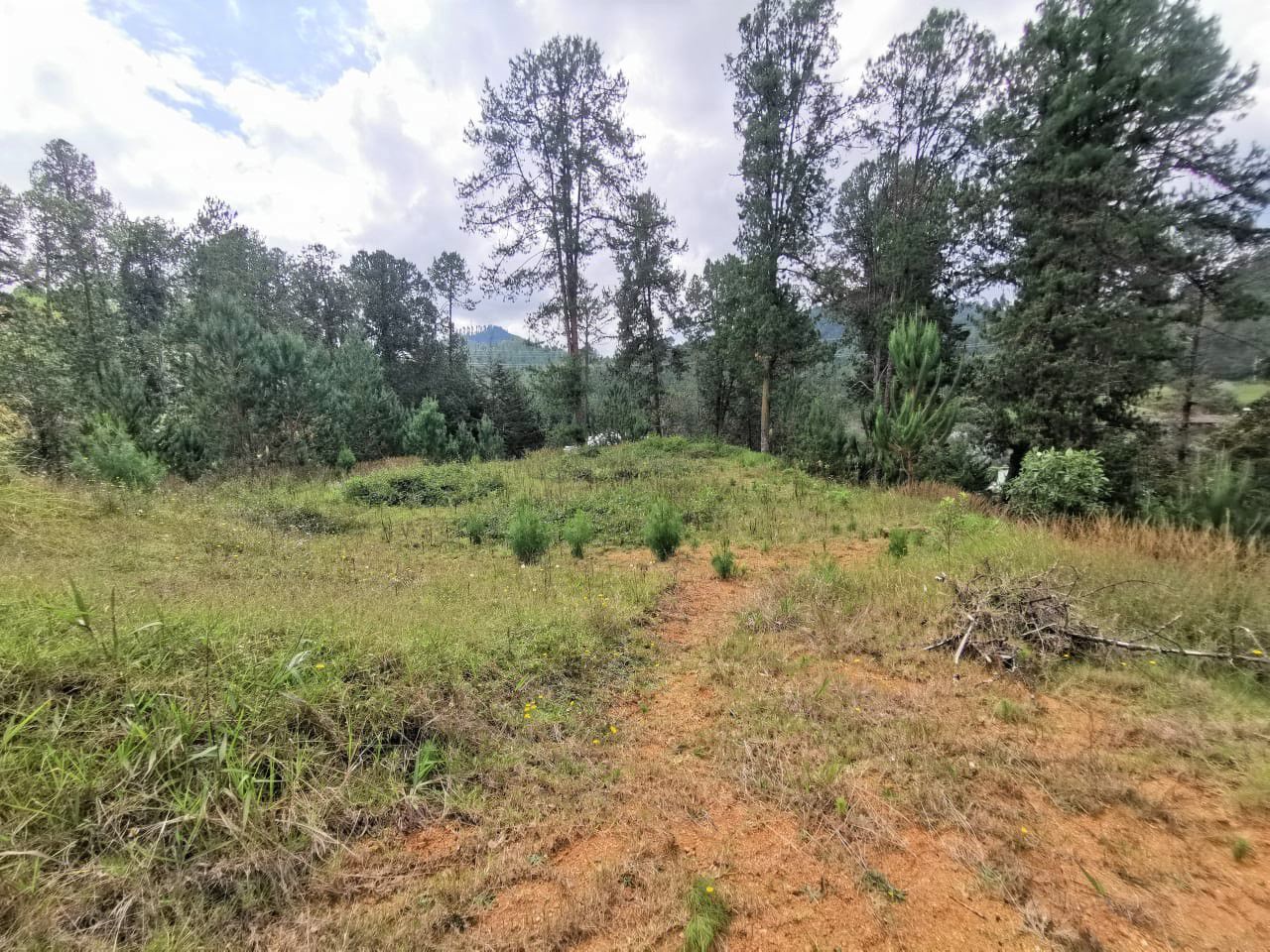 Venta Lote en Parcelación El Retiro