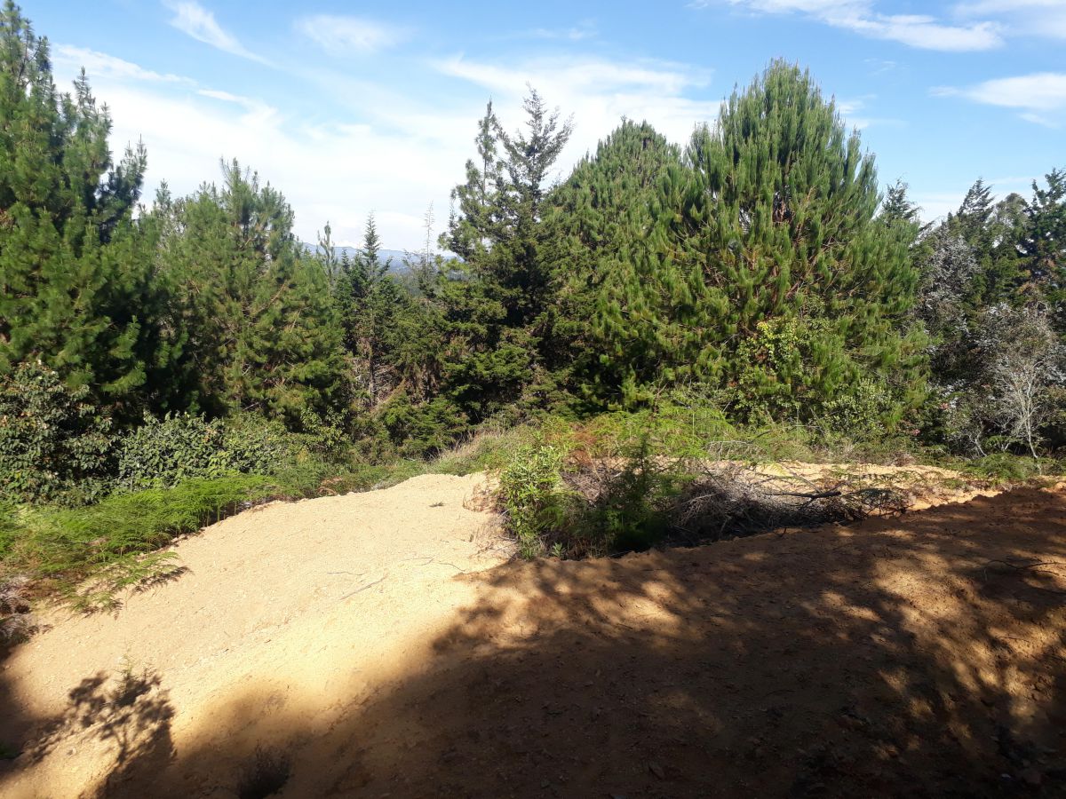 Lote en Rionegro Vereda La Mosquita