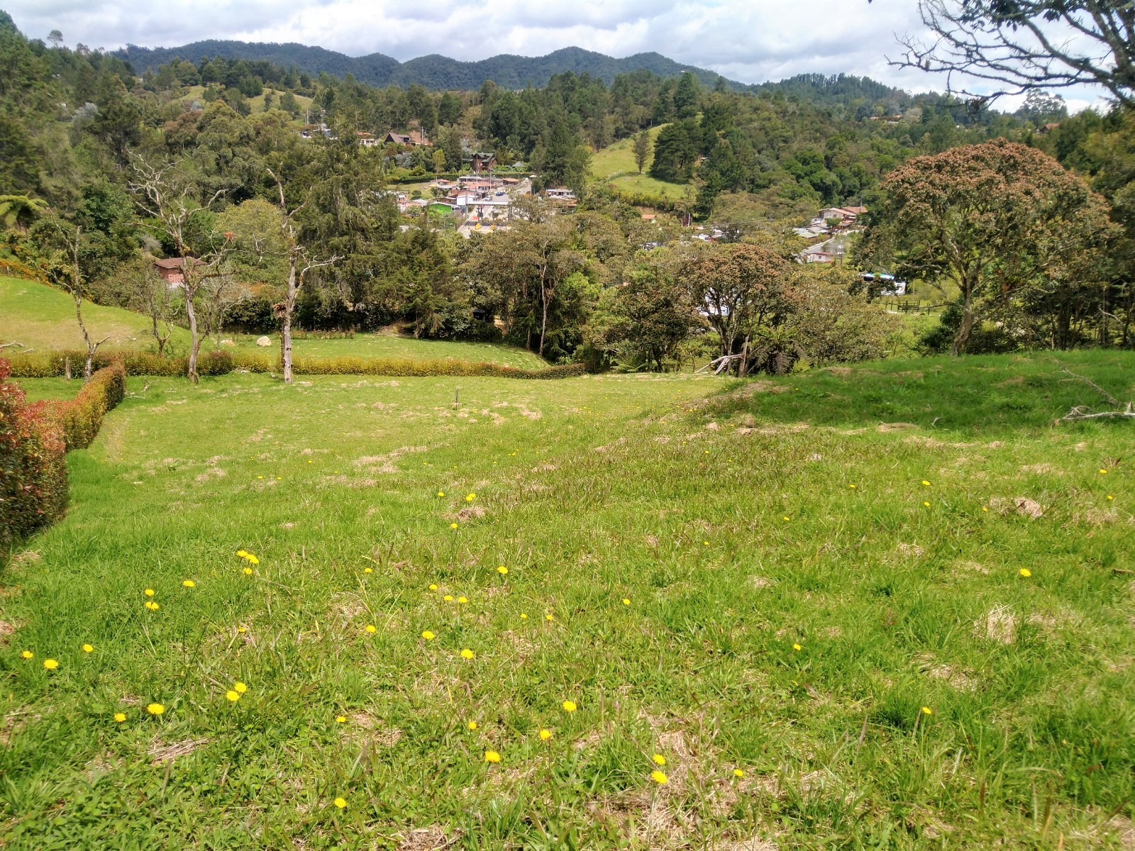 Venta de Lote vía Las Palmas - La Fe