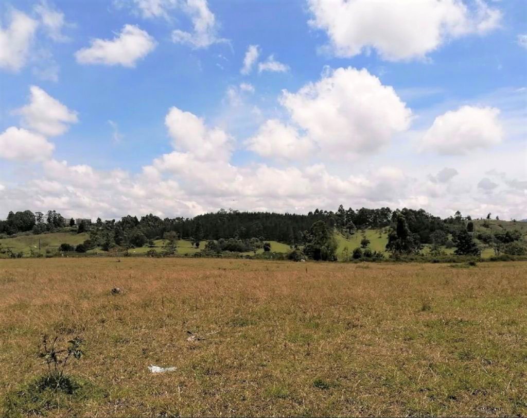 Lotes para Bodegas Sector La Macarena