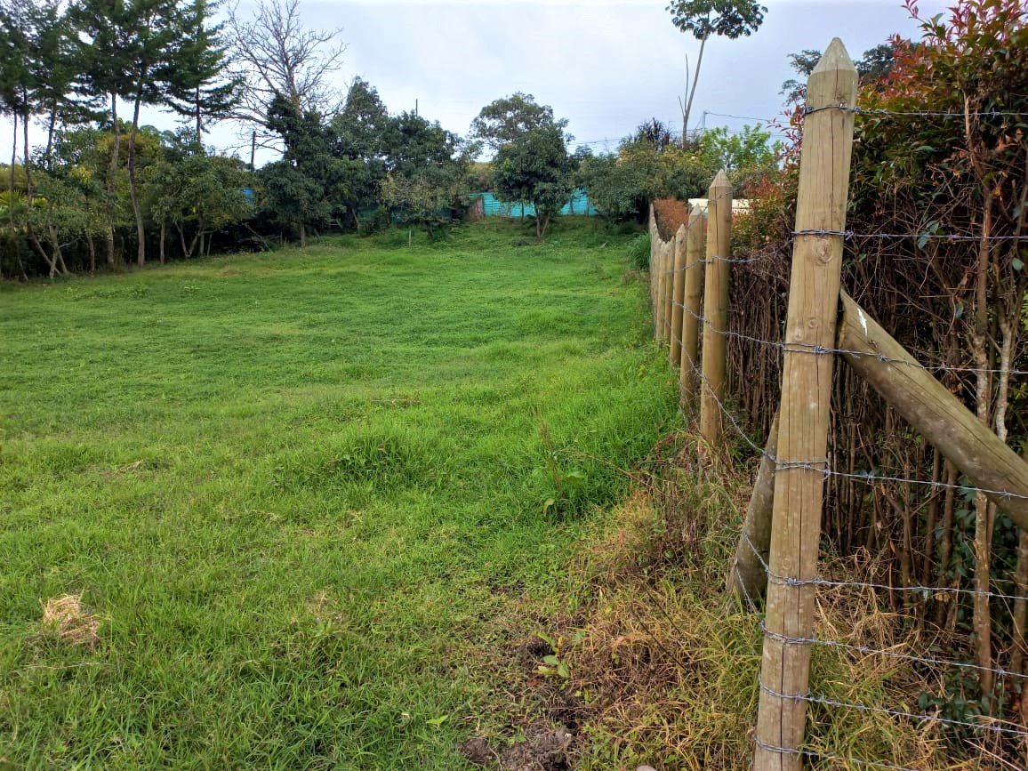 Lotes Independientes en La Ceja